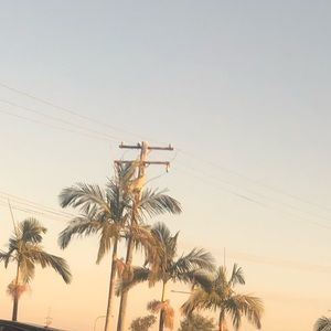 Meet your Posher, Georgette